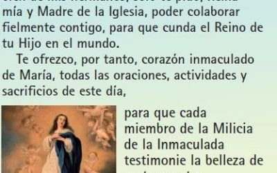 Consagración diaria a La Inmaculada – Febrero 2017