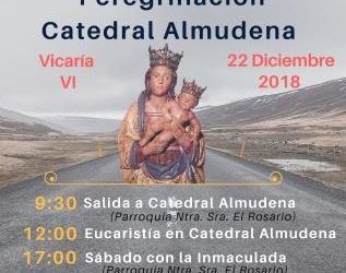 La MI en el Año Jubilar Mariano en Madrid